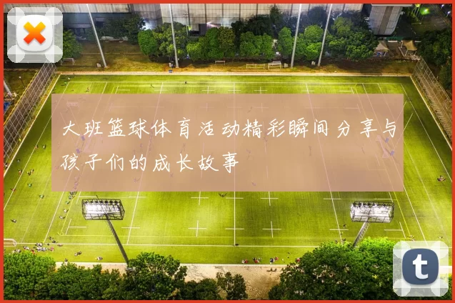 大班篮球体育活动精彩瞬间分享与孩子们的成长故事
