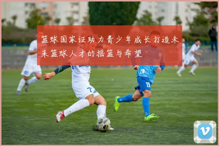 篮球国家证助力青少年成长打造未来篮球人才的摇篮与希望